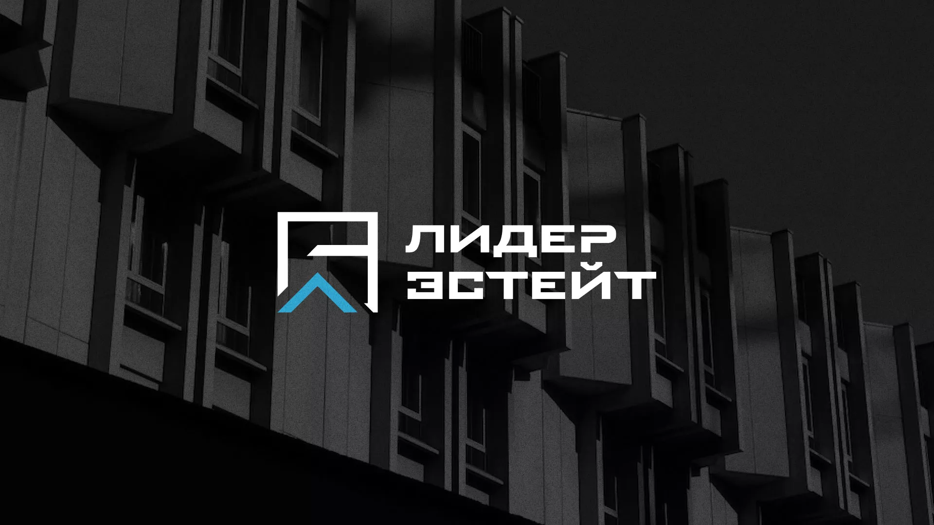 Разработка логотипа агентства недвижимости «Лидер Эстейт» в Городце